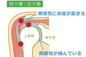 スクリーンショット 2025-11-26 11.25.03
